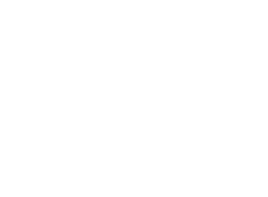 Vixonix Logo